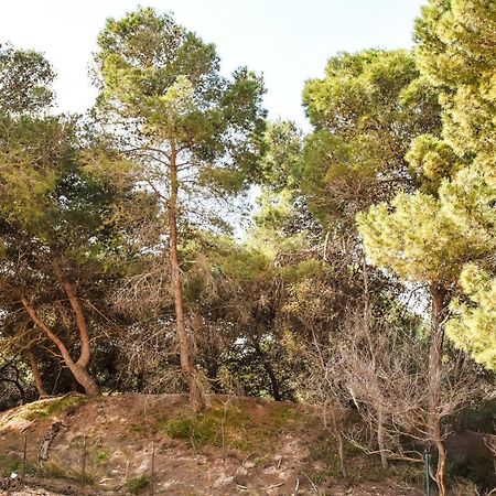Appartamento Sulla Spiaggia กัลลีโปลี ภายนอก รูปภาพ
