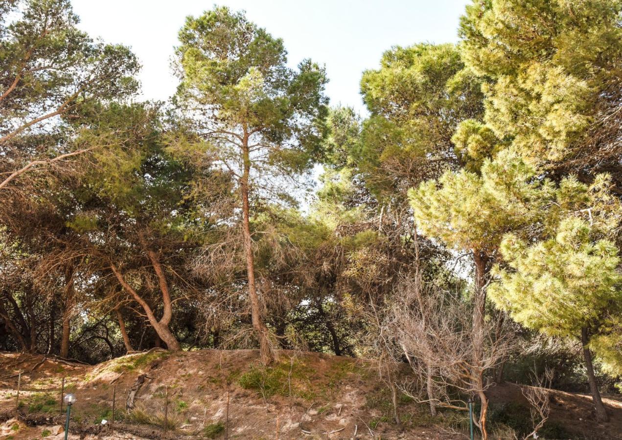 Appartamento Sulla Spiaggia กัลลีโปลี ภายนอก รูปภาพ